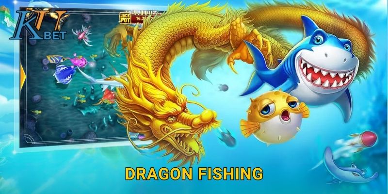 Dragon Fishing Kubet và thử thách săn rồng biển Kubet