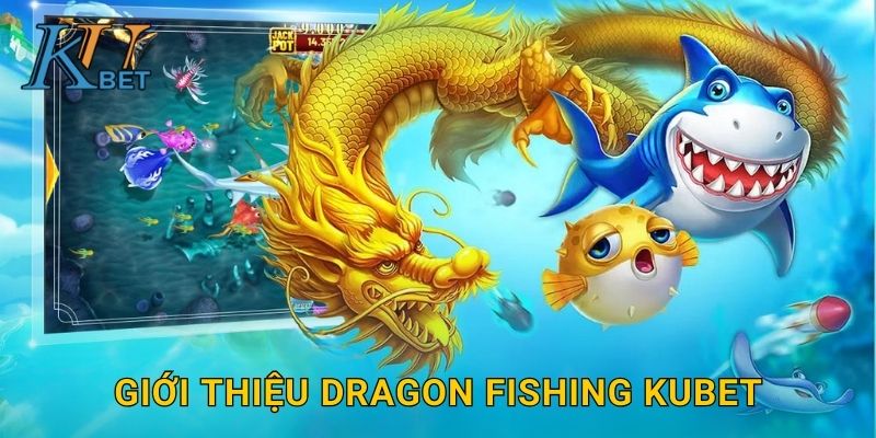 Giới thiệu Dragon Fishing Kubet