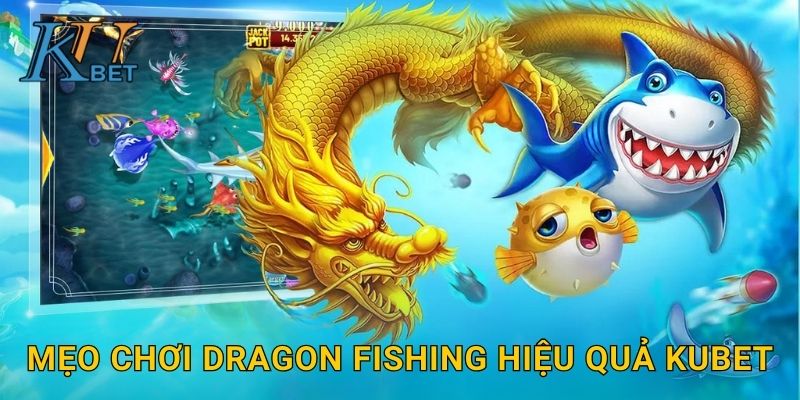 Mẹo chơi Dragon Fishing hiệu quả Kubet